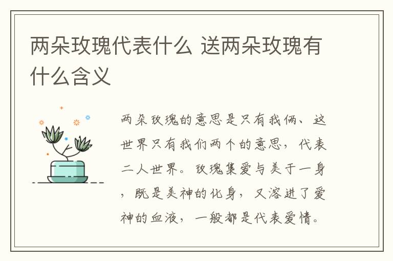 两朵玫瑰代表什么 送两朵玫瑰有什么含义-九图集