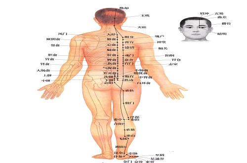 足太阳膀胱经的作用 足太阳膀胱经的作用视频-九图集