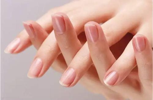 气血不足如何调理（女人气血不足如何调理）-九图集