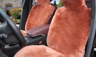 怎么清洗汽车羊毛垫 纯羊毛车垫怎么洗-九图集