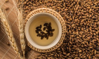 大麦茶女性可以长期喝吗(女性能喝大麦茶吗)