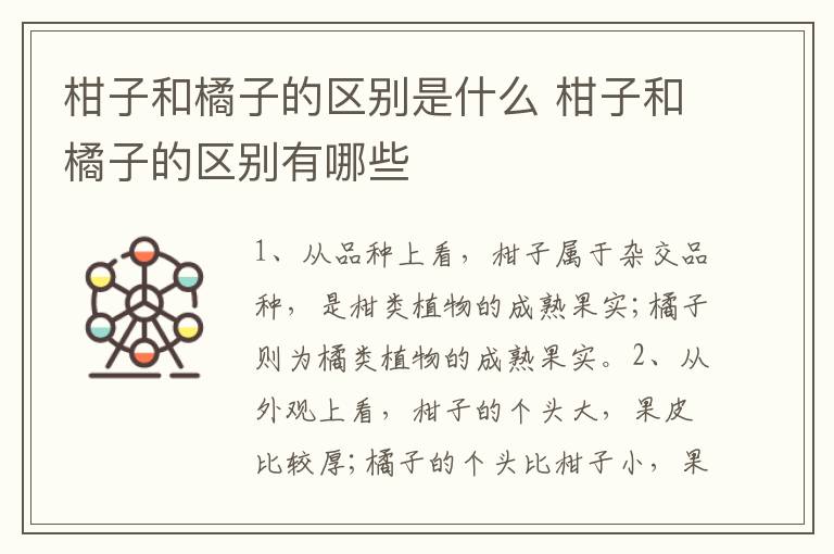 柑子和橘子的区别是什么 柑子和橘子的区别有哪些