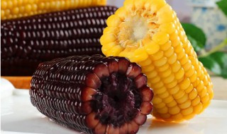 黑玉米和黄玉米的营养价值一样吗 黑玉米比黄玉米营养有营养吗