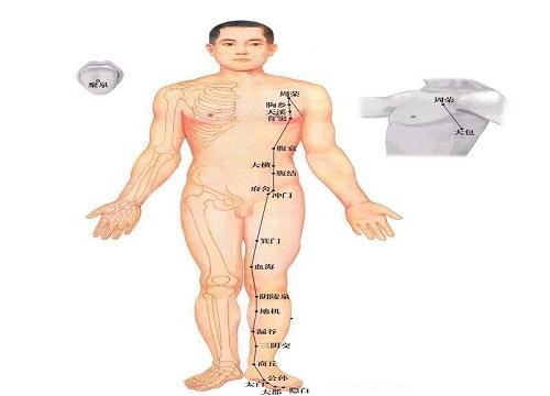 足太阴脾经循行路线图(足少阴肾经循行路线图)-九图集