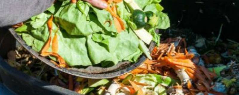 生物垃圾有哪些（生物垃圾有哪些危害）-九图集