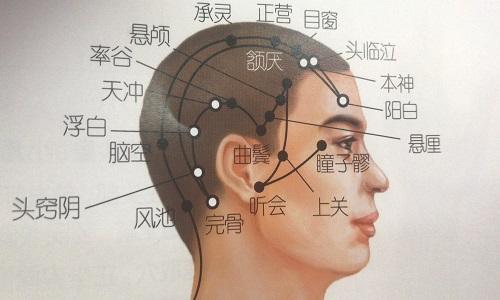 本神的准确位置图 本神的准确位置图作用