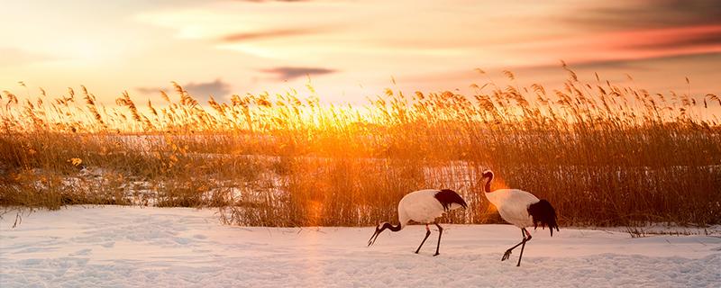 2020入九时间表 2020年进九时间表农历2019到