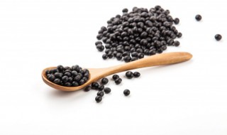 黑豆绿心的好还是黄心的好（黑豆绿心的好还是黄心的好?）-九图集