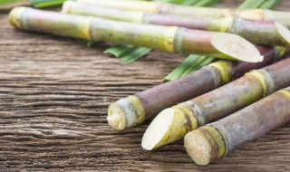 煮甘蔗的功效与作用 煮的甘蔗有什么功效-九图集