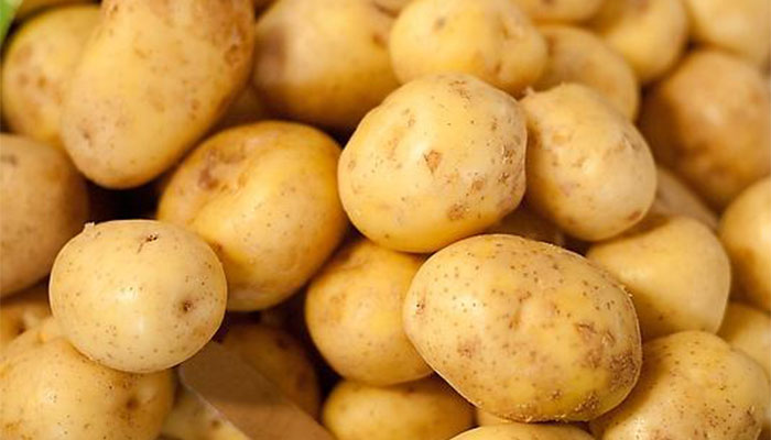 洋芋是什么 洋芋是什么东西 洋芋是什么 洋芋是什么东西