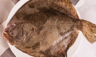 多宝鱼离开水多长时间死（多宝鱼放淡水里会死吗）-九图集