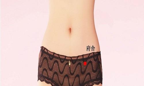 府舍准确位置图和作用(府舍准确位置图和作用及功效)-九图集