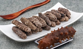 哪九类人群不适合吃海参 海参哪类人群不宜吃-九图集