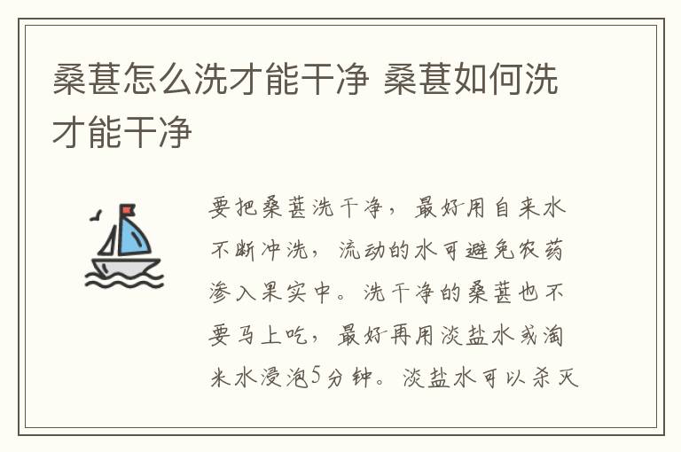 桑葚怎么洗才能干净 桑葚如何洗才能干净-九图集