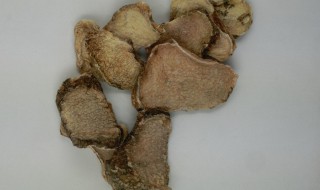 蛇六谷的功效与作用（蛇六谷的功效与作用点）