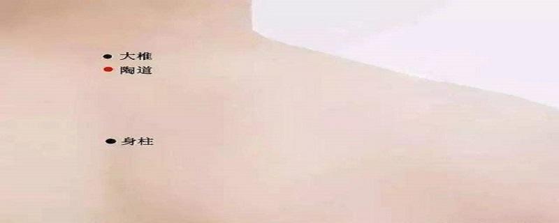 陶道位置怎么找 陶道的准确位置怎么找