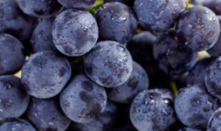 盆栽葡萄用多大的盆 盆栽葡萄用多大的盆合适