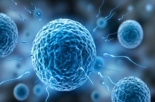 精子稀少是什么原因-九图集