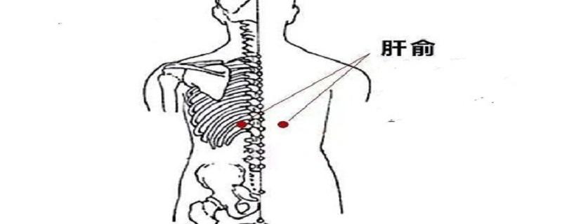 艾灸肝俞的功效（针灸肝俞的作用）-九图集