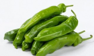 青椒的营养价值(青椒的营养价值与功效)-九图集