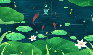 立夏起居养生常识（立夏节气的养生知识）-九图集