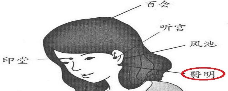 翳明的准确位置图(翳风翳明的准确位置图)