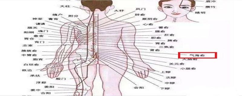 气海俞的准确位置图片 气海俞的准确位置图片女-九图集