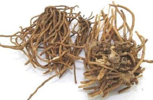 清虚热的中药有哪些 清除虚热的中药有哪些-九图集