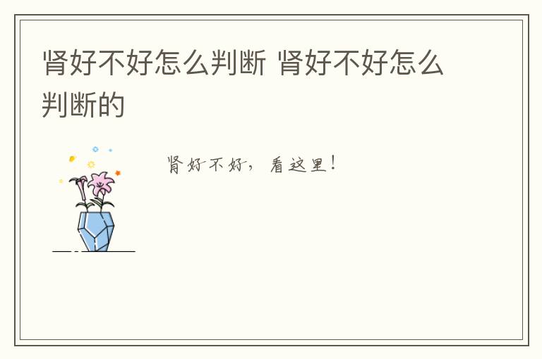 肾好不好怎么判断 肾好不好怎么判断的