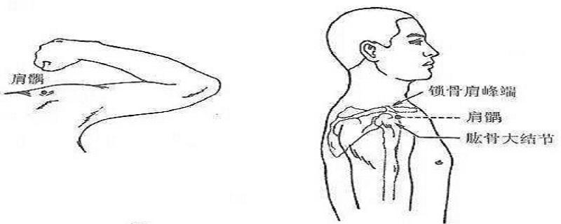 肩髃如何针刺 肩髎针刺视频-九图集