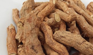 地骨皮的营养价值（地骨皮的营养成分）