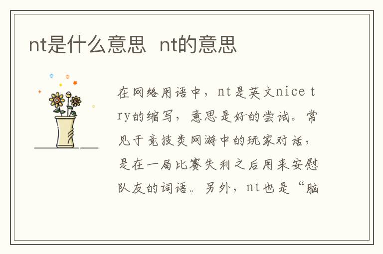 nt是什么意思  nt的意思-九图集