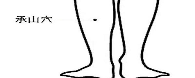 承山针刺方法和注意事项 承山怎么进针-九图集