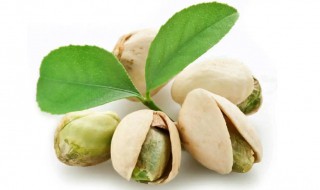 生的开心果可以吃吗 生开心果好吃吗-九图集