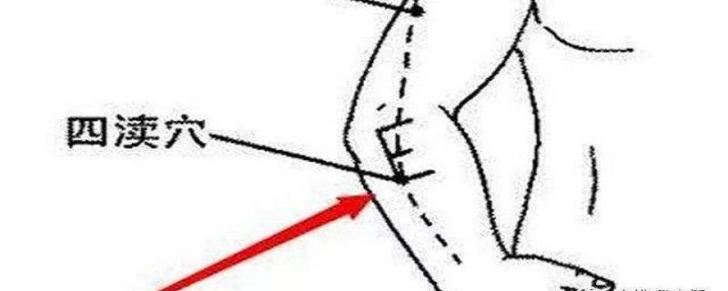 四渎什么意思 此四渎是什么意思