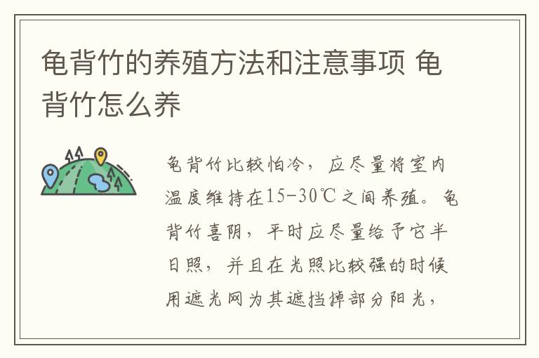 龟背竹的养殖方法和注意事项 龟背竹怎么养-九图集