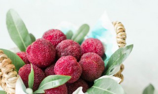 无锡哪些景点特产 无锡有名的特产-九图集