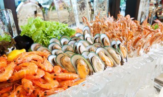 带子的功效与作用 带子的功效与作用及营养