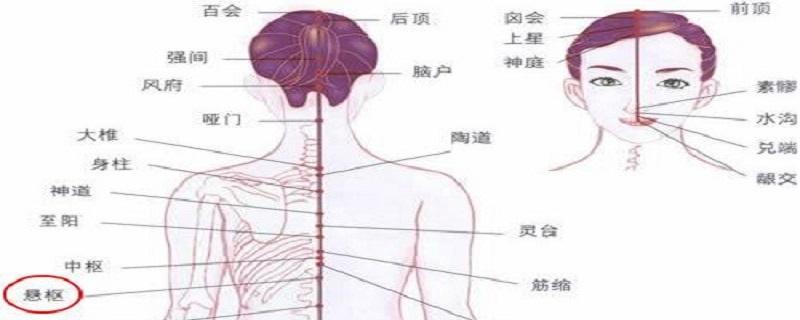 悬枢疼痛为什么(悬枢痛怎么回事)