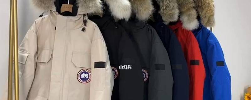 羽绒服上有墨水怎么去除（羽绒上有墨水怎么处理）-九图集