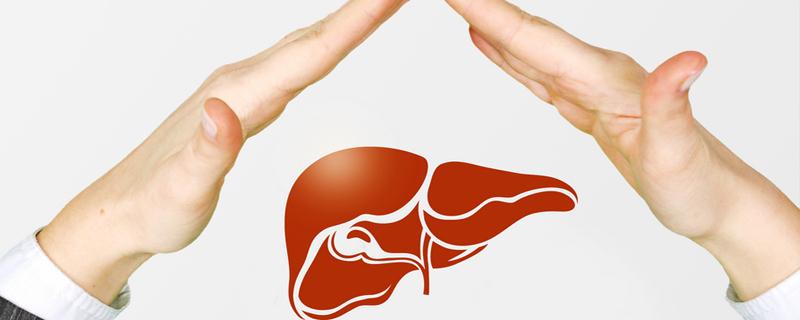 适合长期喝的养肝茶（脂肪肝适合长期喝的养肝茶）-九图集