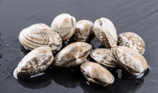 花甲放冰箱冻死了还能吃吗(花甲放进冰箱急冻还能吃吗)-九图集