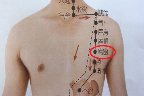 膺窗的准确位置图（膺窗的准确位置图视频）