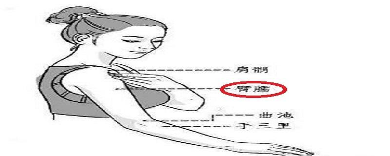 臂臑的定位(臂臑的定位方法和主治)