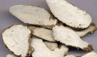 白芷的营养价值(白芷的营养成分)-九图集