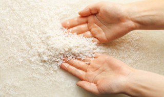 米长黑虫了还能吃吗 长了黑虫的米还能吃吗-九图集