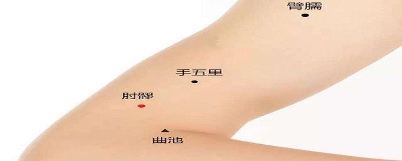 肘髎疼痛怎么引起的（肘子疼痛是怎么回事）