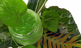 冻膜可以不洗吗（冻膜需不需要洗）-九图集