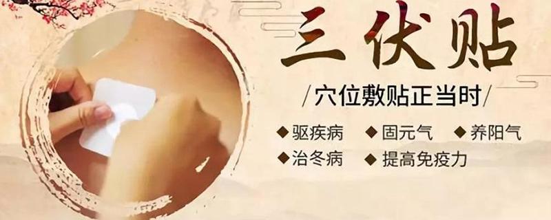 三伏天贴三伏贴时间 三伏贴每个伏天贴几天
