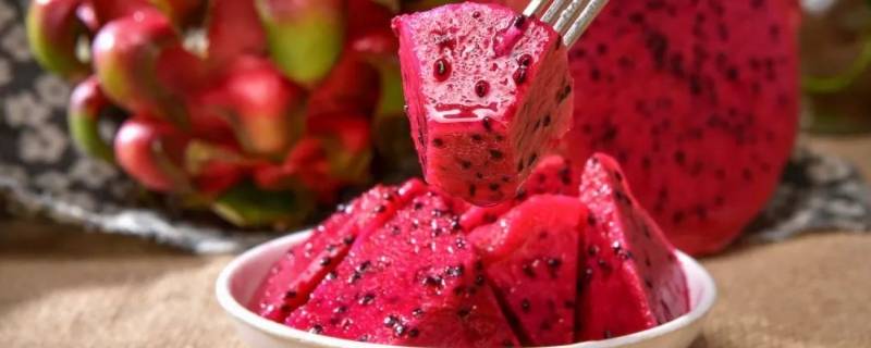 红心火龙果是进口的吗 红心火龙果和白心火龙果哪个是进口的-九图集